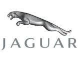 Jaguar für Kosmetik
