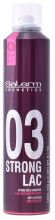 Fixierspray 03 Strong Lac 300 ml Fixierspray 03 Strong Lac 300 ml