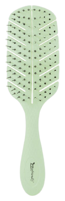 Bifull Biofreundlich biologisch abbaubare Skelettb&uuml;rste