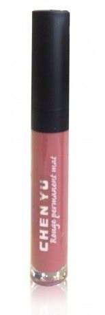 Fixed Rouge matte lipstick 106 Fixed Rouge matte lipstick 106