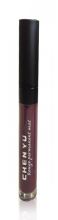 Fixed Rouge matte lipstick 106 Fixed Rouge matte lipstick 106