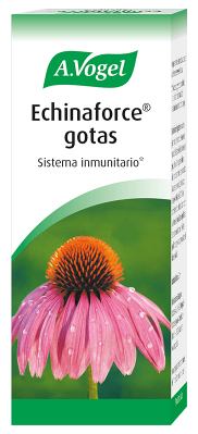 Echinaforce Sistema Inmunitario Gotas Echinaforce Sistema Inmunitario Gotas