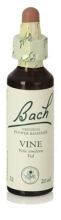 Bach 32 Weinstock 20 ml