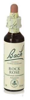 Bach 26 Heliantem oder Tiegel 20 ml