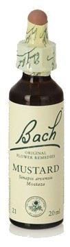 Bach 21 Senf 20 ml