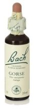 Bach 14 Heidekraut 20 ml