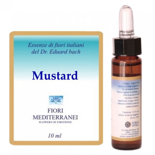 Forza Vitale Fm 21 Senf 10 ml