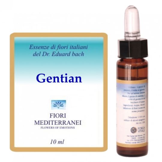 Forza Vitale Fm 12 Enzian 10 ml