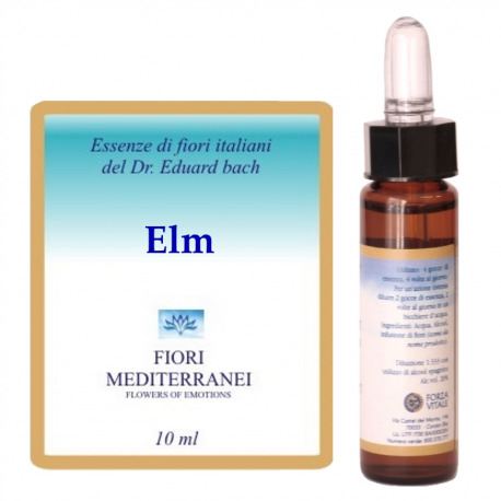 Forza Vitale Fm 11 Ulme 10 ml