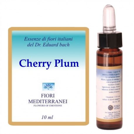Forza Vitale Fm 6 Kirschpflaume 10 ml