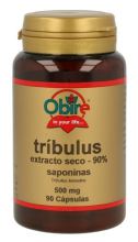 Tribulus 500 mg 90% Saponin 90 Kapseln Tribulus 500 mg 90% Saponin 90 Kapseln