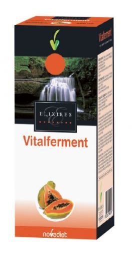 Vitalferment Fermentierte Papaya 250 ml