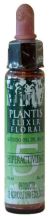 Plantis Nr. 5 Hyperaktivität 10 ml