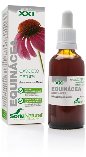 Echinacea-Extrakt Echinacea-Extrakt