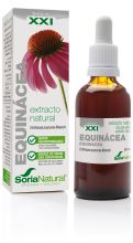 Echinacea-Extrakt Echinacea-Extrakt
