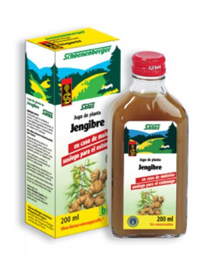 Ingwersaft 200 ml Ingwersaft 200 ml