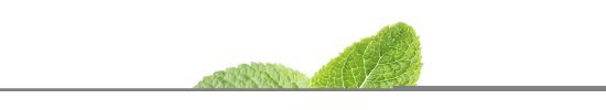 Bio-Gummis mit frischem Atem Bio-Gummis mit frischem Atem