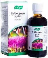 Boldocynara Gotas 100 ml Boldocynara Gotas 100 ml