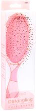 Cepillo para Cabello Wet-N-Dry